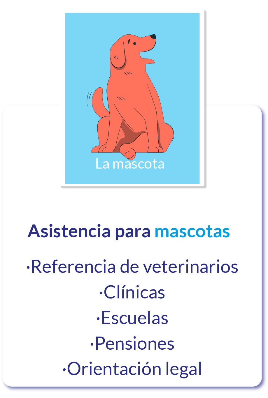 asistencia de mascotas