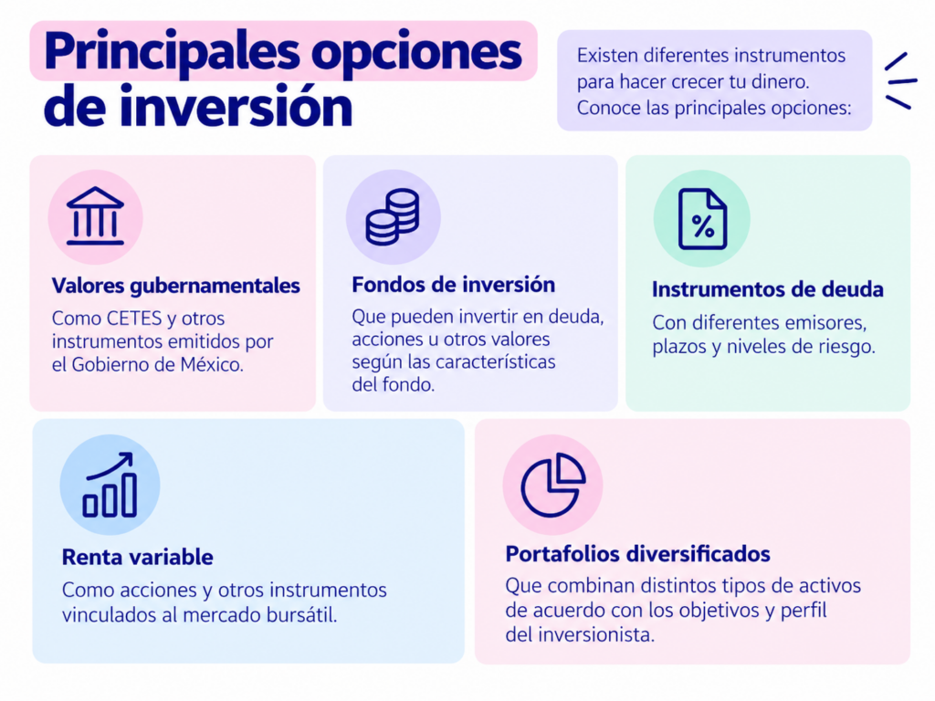 principales opciones de inversión